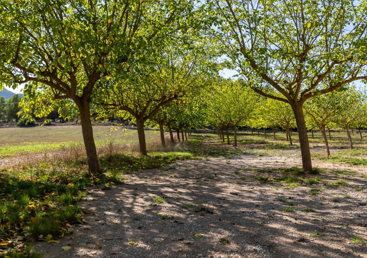 Masia Aubareda San Martín de Tous Eksteriør bilde