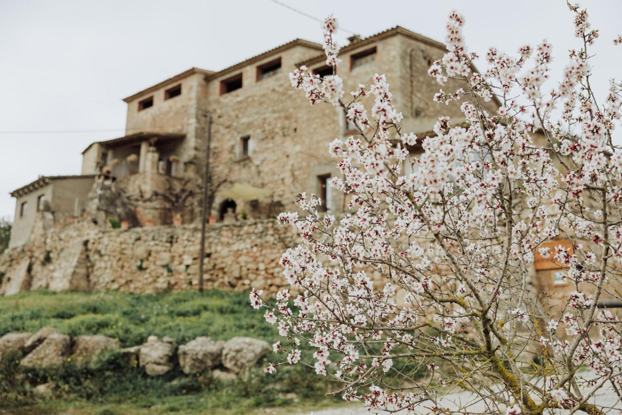 Masia Aubareda San Martín de Tous Eksteriør bilde